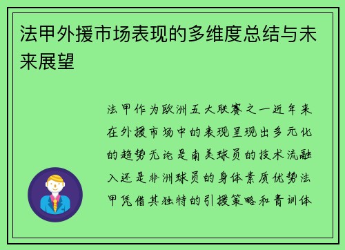 法甲外援市场表现的多维度总结与未来展望